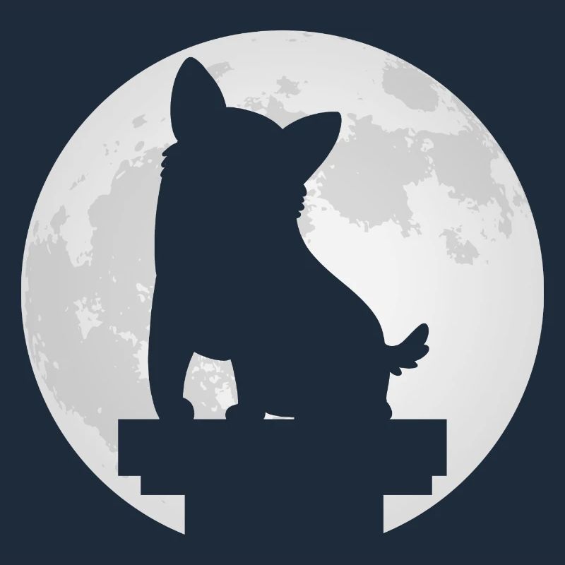Corgi