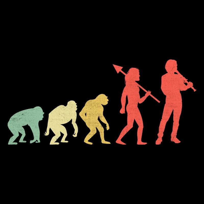 Evolution Recorder Player Musical Instrument Music