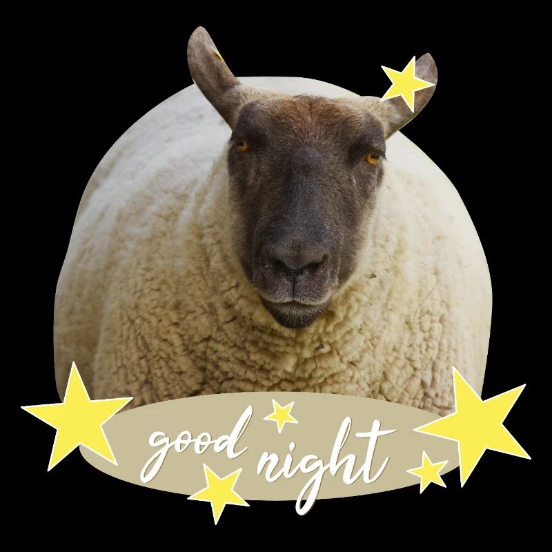 sheep good night