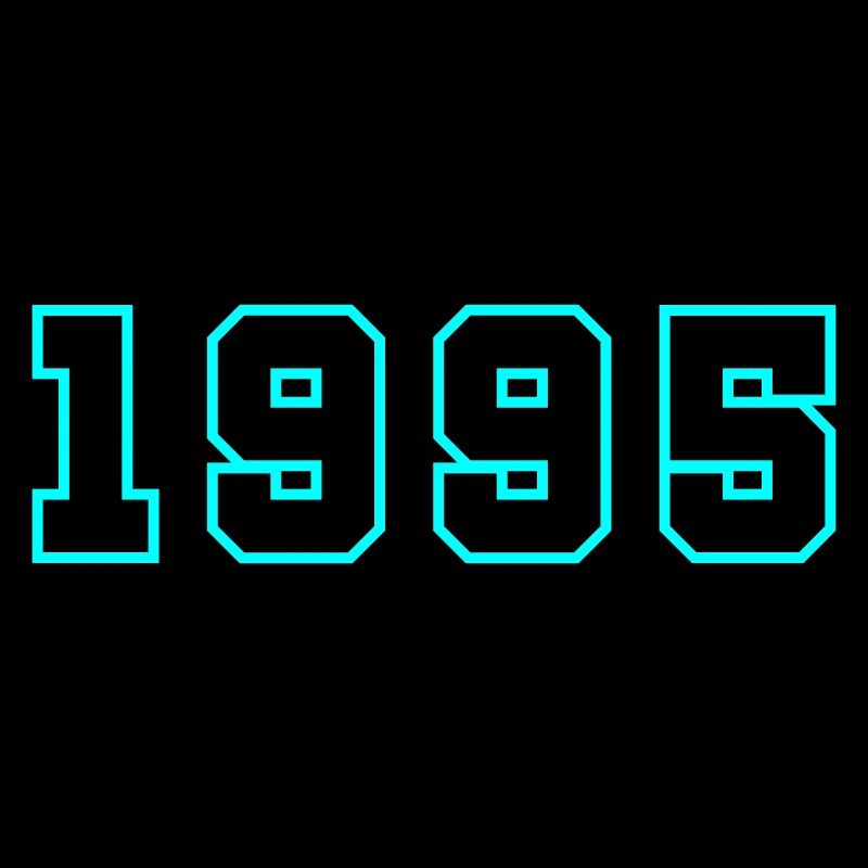 1995 Year Birthday