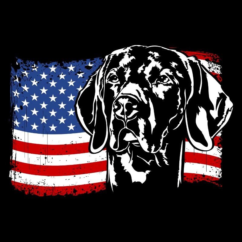 Weimaraner Amérique Flag Chiens Chiens de chasse Wilsigns