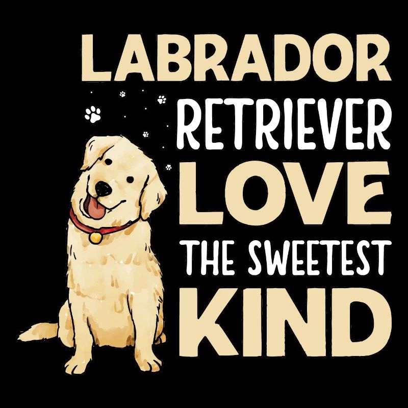 Labrador Retriever Aime l’enfant le plus doux