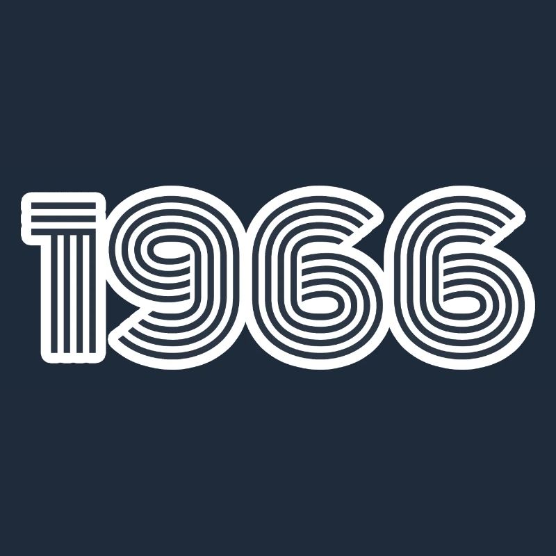 Année de naissance 1966