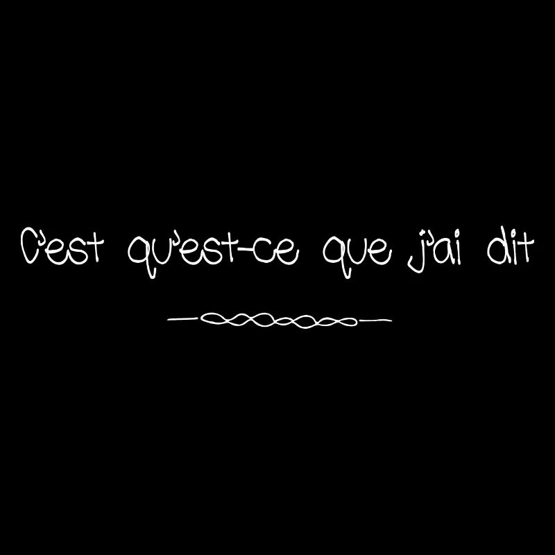 c"est quest ce que j'ai dis humour francais drole