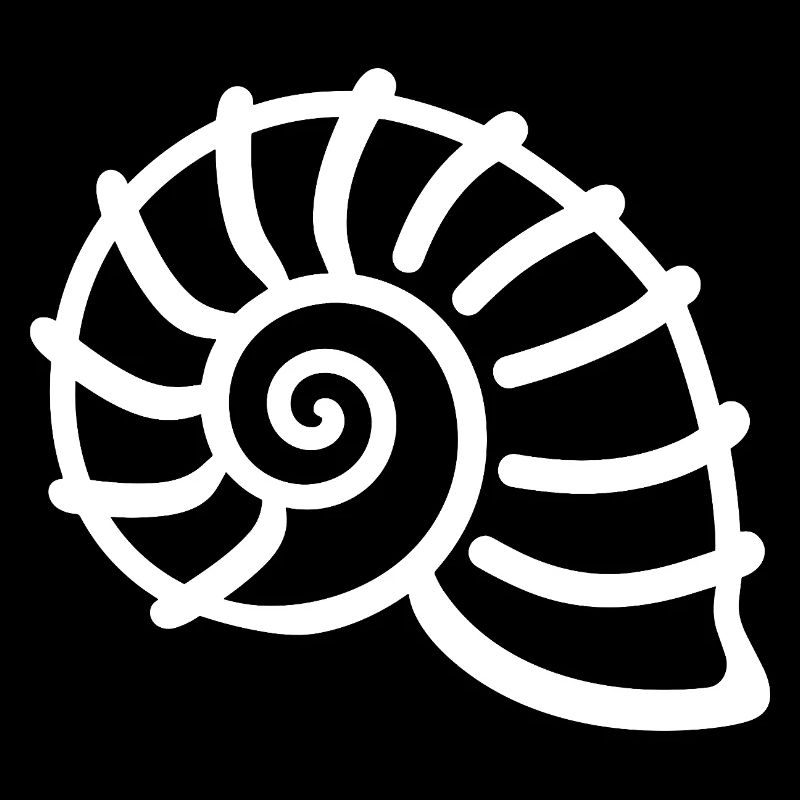 coquillage