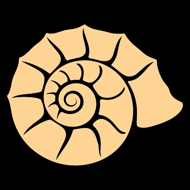 coquillage
