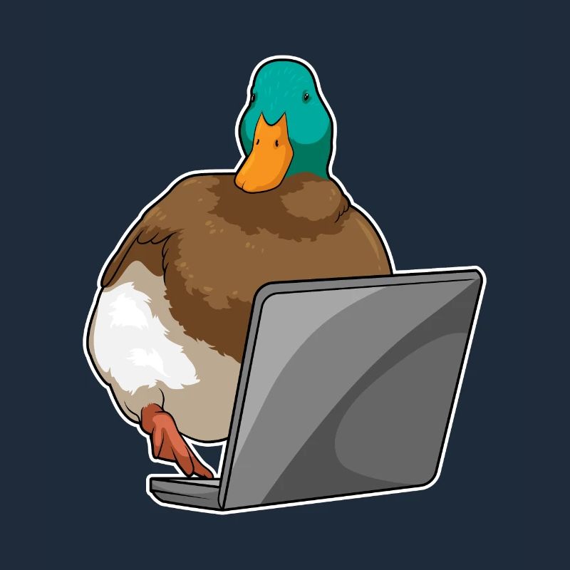 Duck Laptop