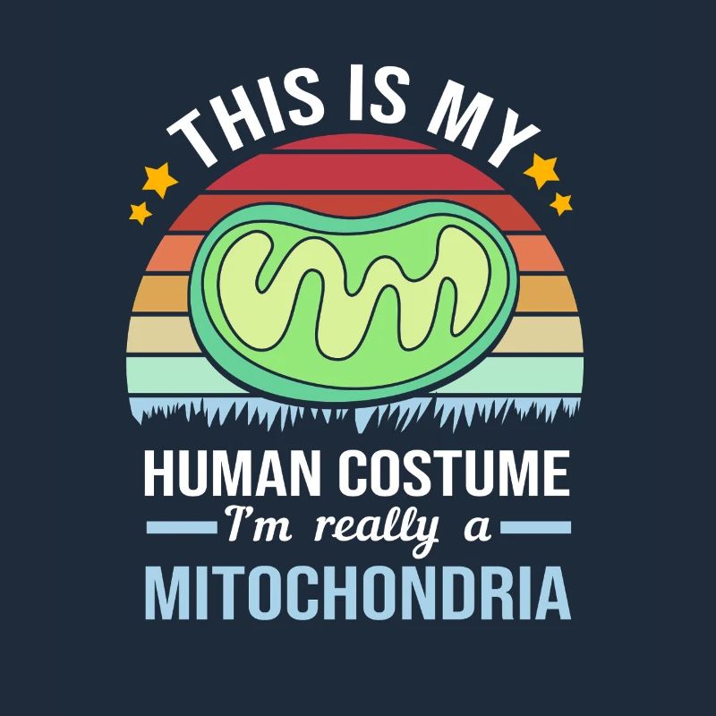 Formule structurelle de la molécule