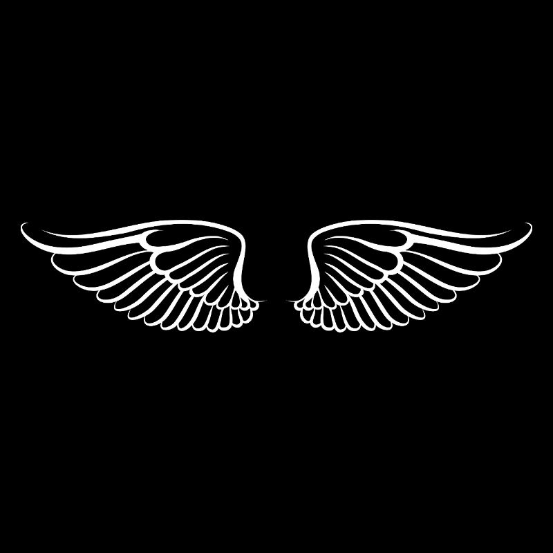 Les ailes