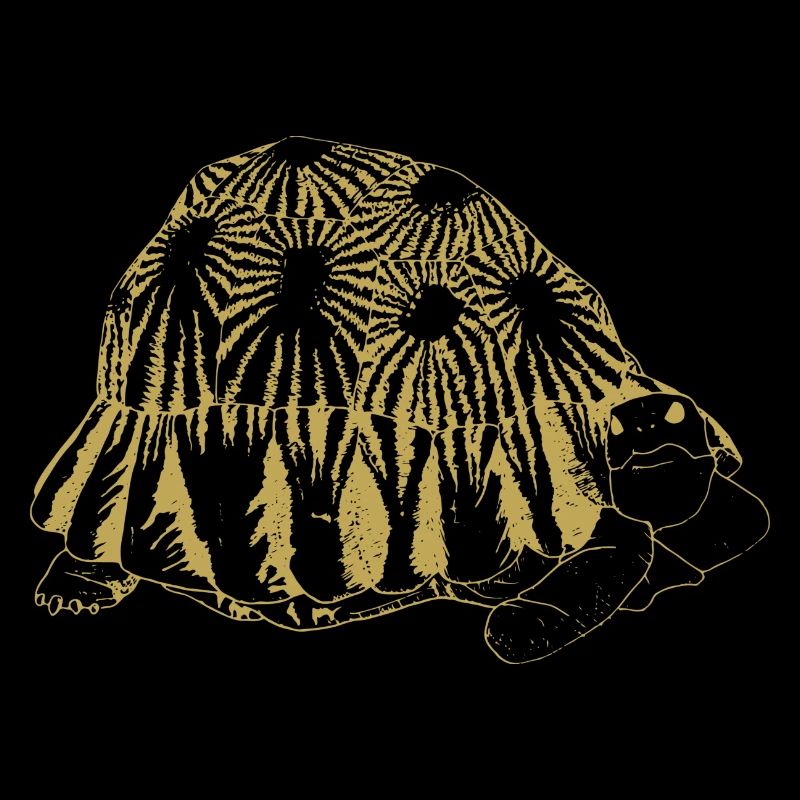 Illustrierte Designs mit Schildkröte