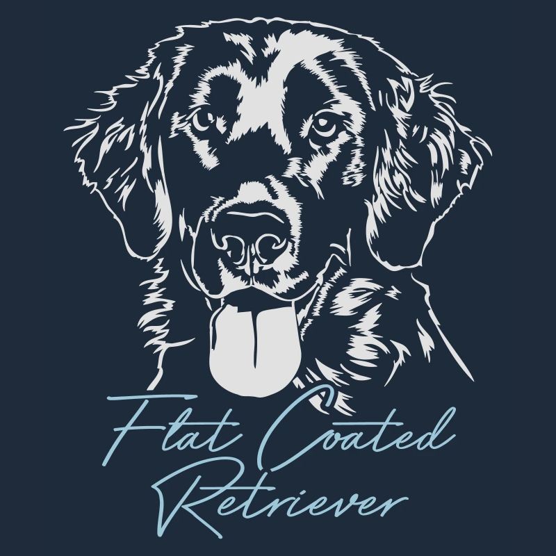 FLAT COATED RETRIEVER Chiens Chien de chasse Wilsigns