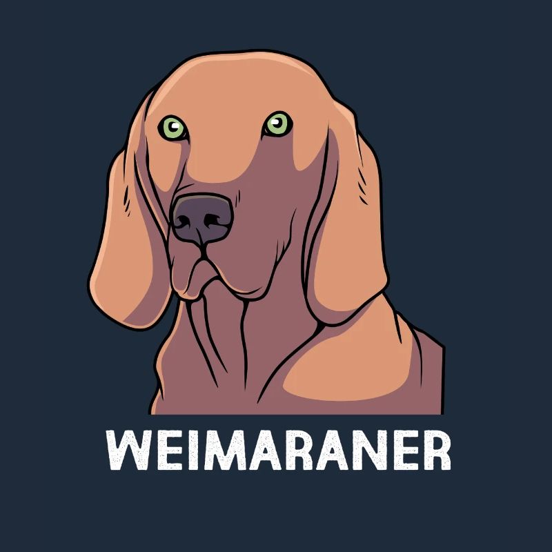 Weimaraner