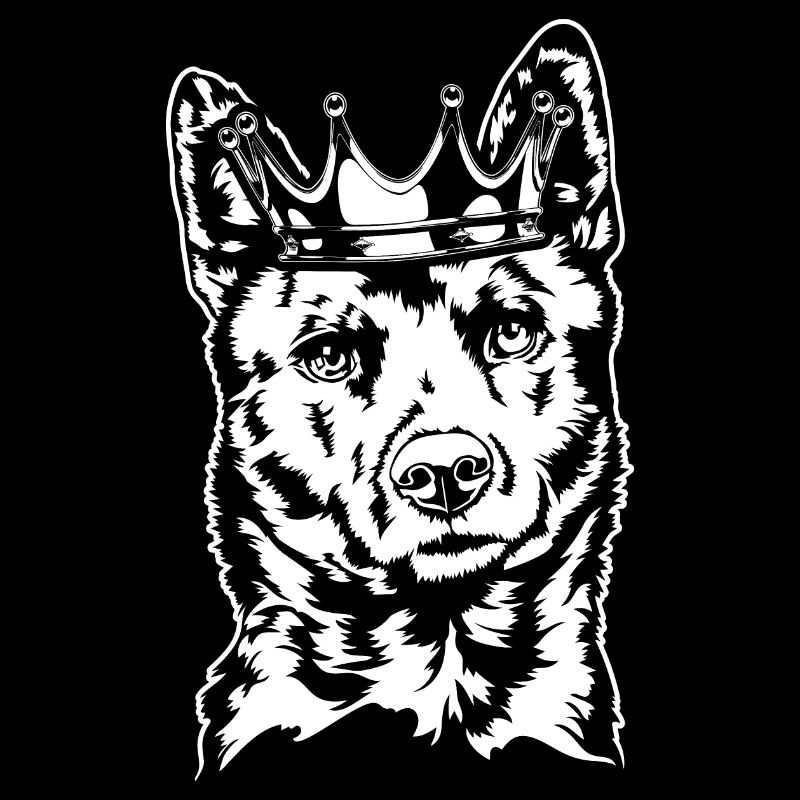 Kai Ken Krone Chiens Chien Wilsigns