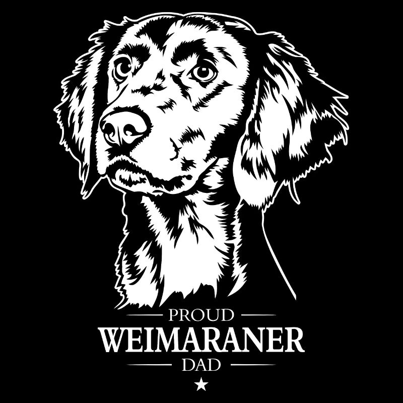 Braque de Weimar Papa Chiens Chiens de Chasse Wilsigns