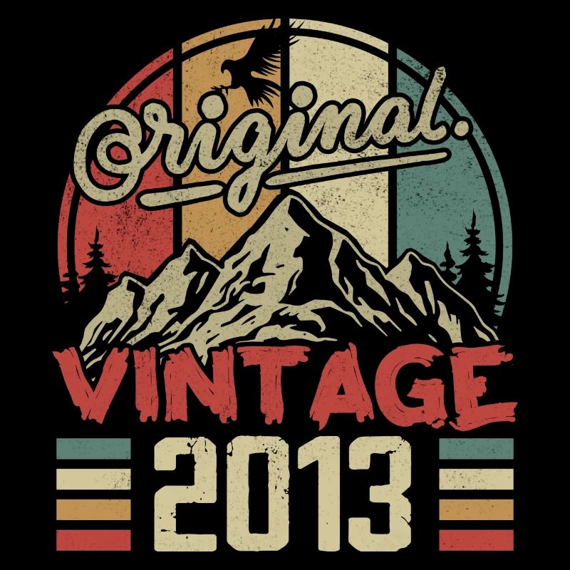 Vintage 2013 Retro Birthday Gift Born In 2013