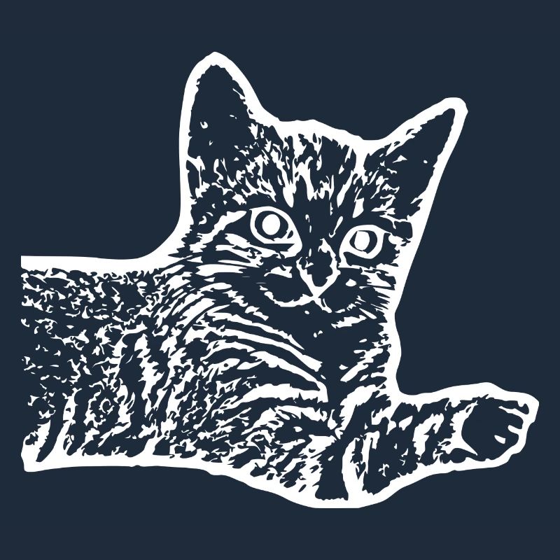 Chat chat chaton