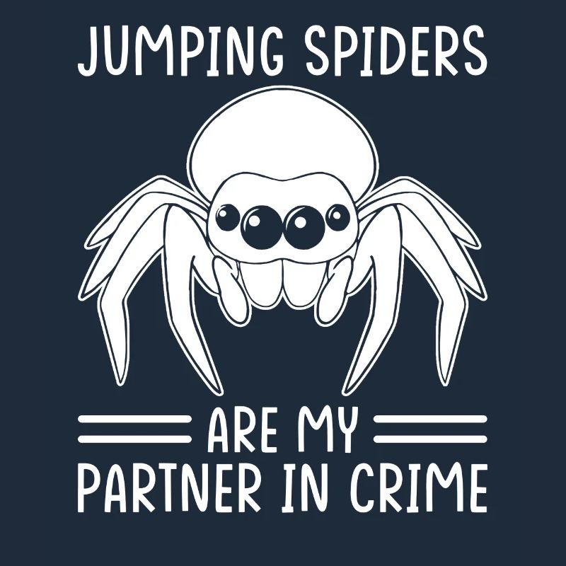 Dicton Jumping Spider