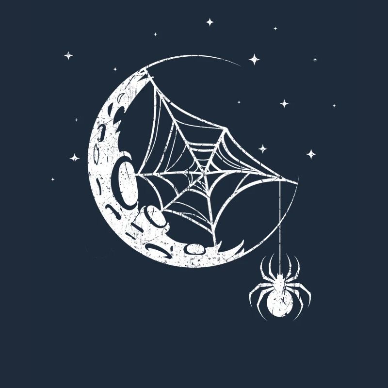 Araignée Toile d’araignée