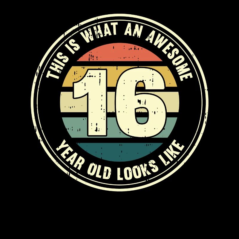 16th birthday so you see with 16 retro gift