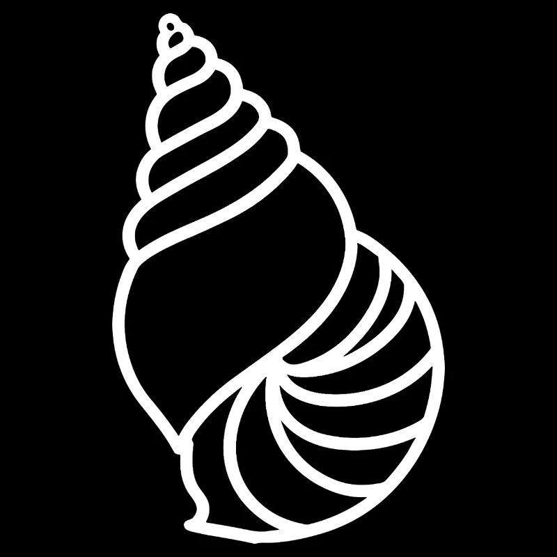 shell