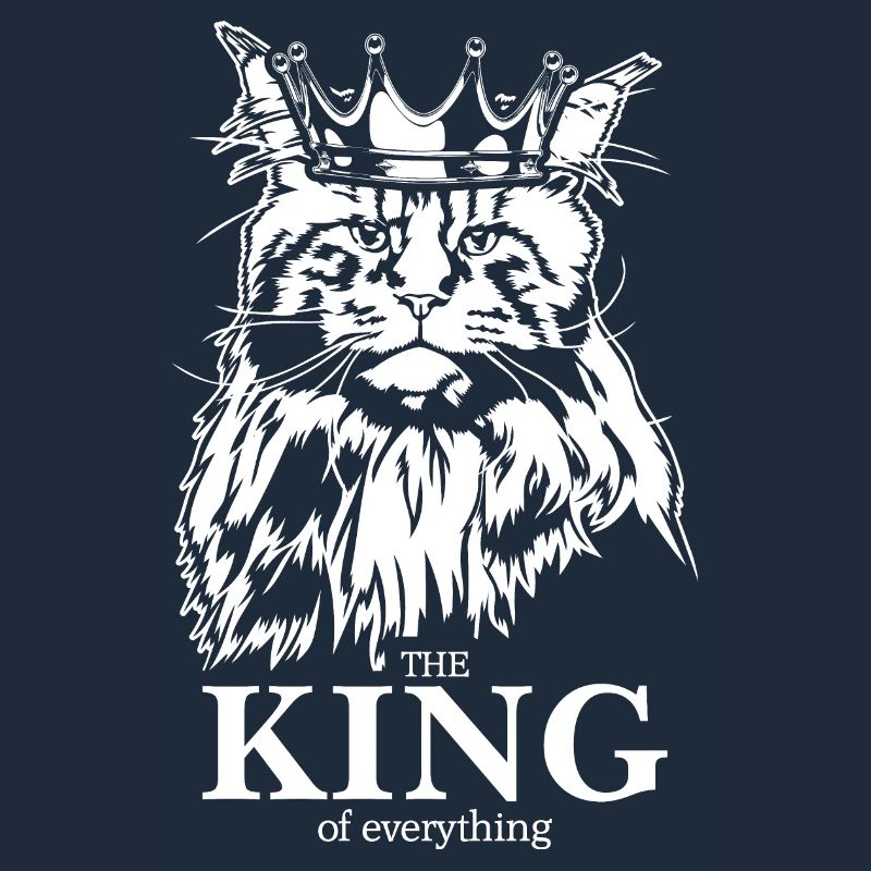 Maine Coon Roi de tout Chat Dire Chat