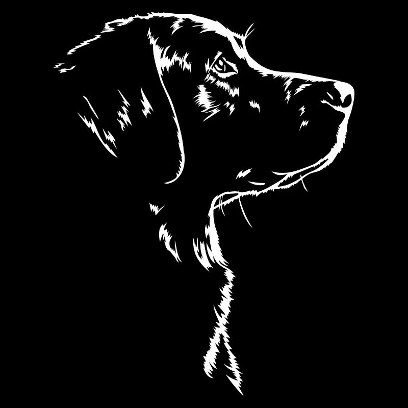 Labrador Retriever Chien Chiens Labbi Wilsigns