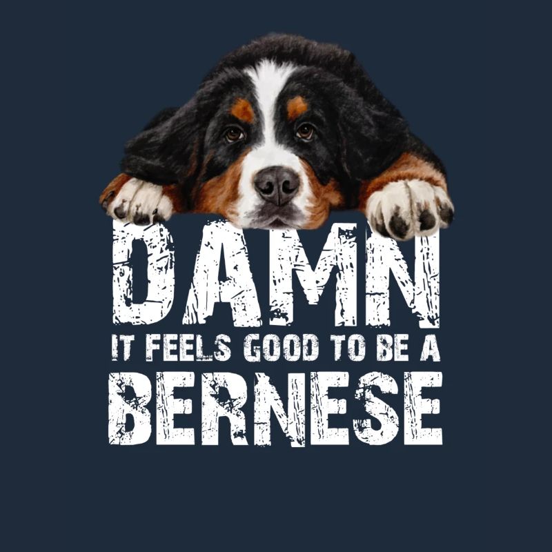 Bernese mountain dog