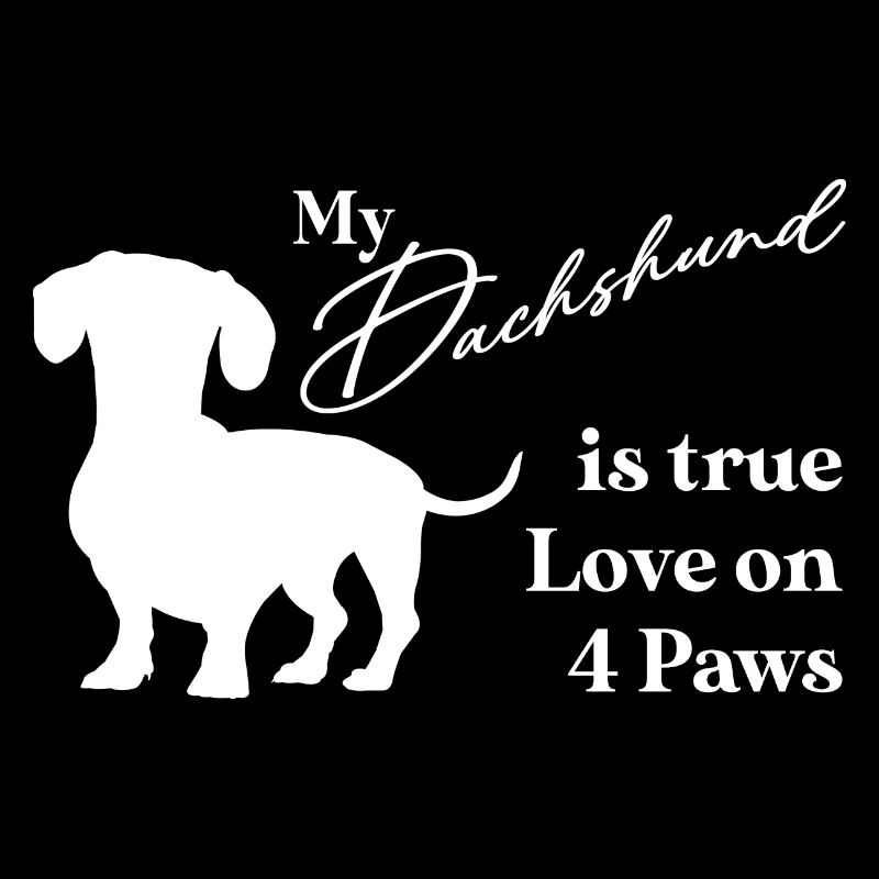 Dachshund true love on four paws