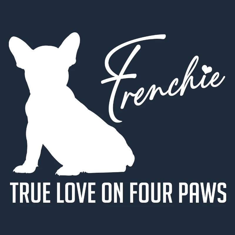 Frenchie Liebe auf vier Pfoten
