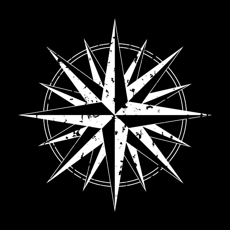 Wind rose