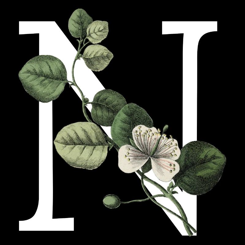 Buchstabe N Grün Botanisch