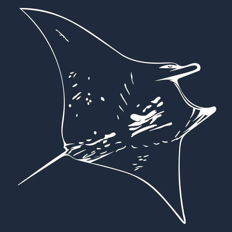 Manta Ray