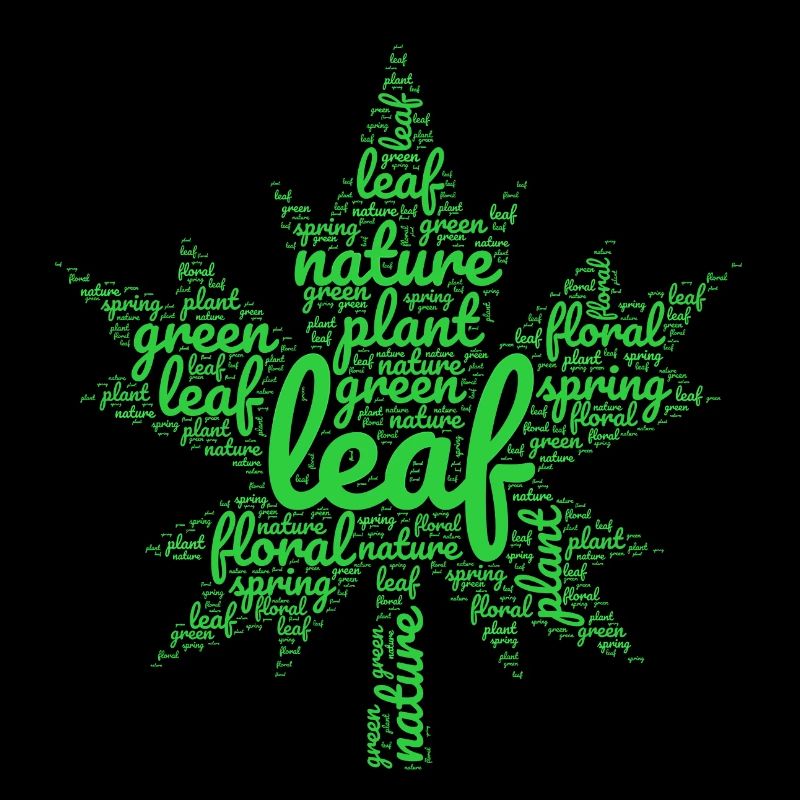 feuille verte