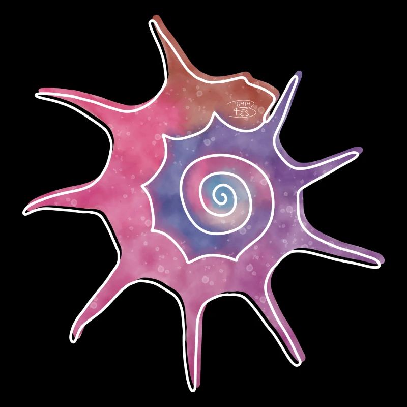 "Bolma", Boho Line Art Design, Serie "Shells"
