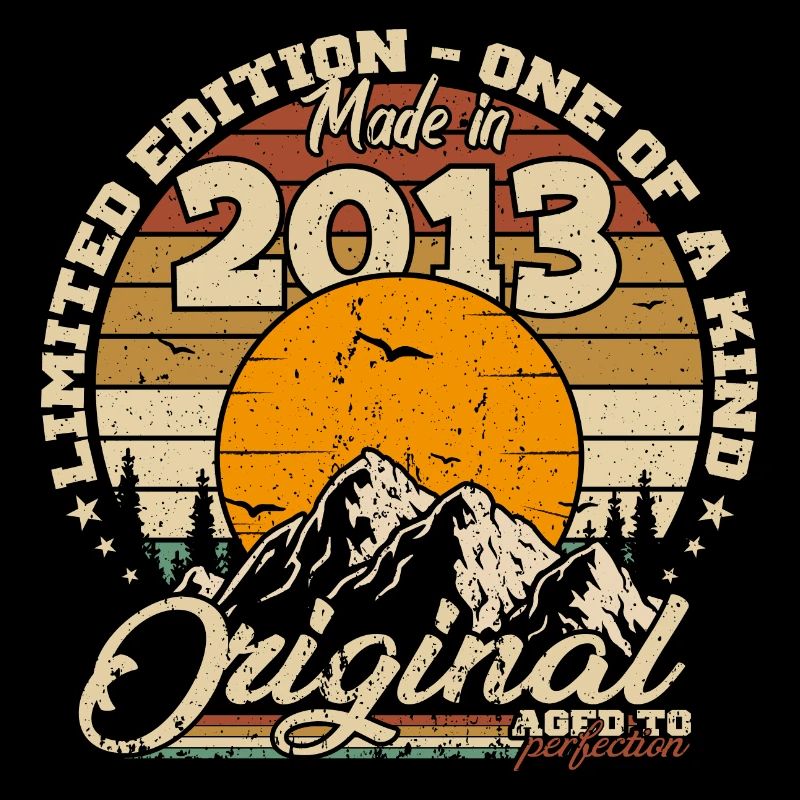 Made in 2013 Birthday Gift 2013 Retro 2013