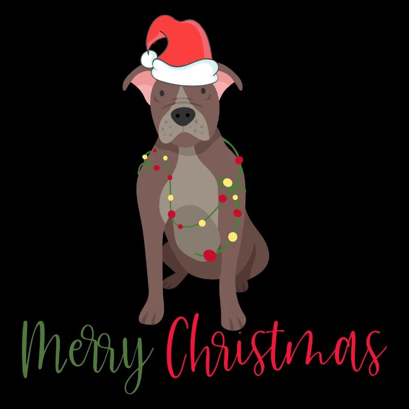 Bouledogue américain, Bully, Noël, Noël