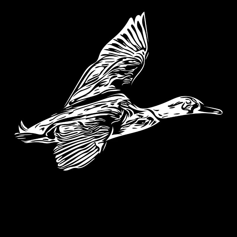Canard