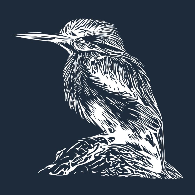 Süsser Eisvogel am Fluss