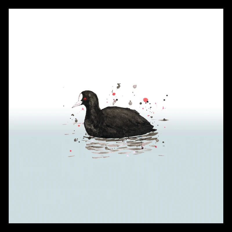 Eurasian coot