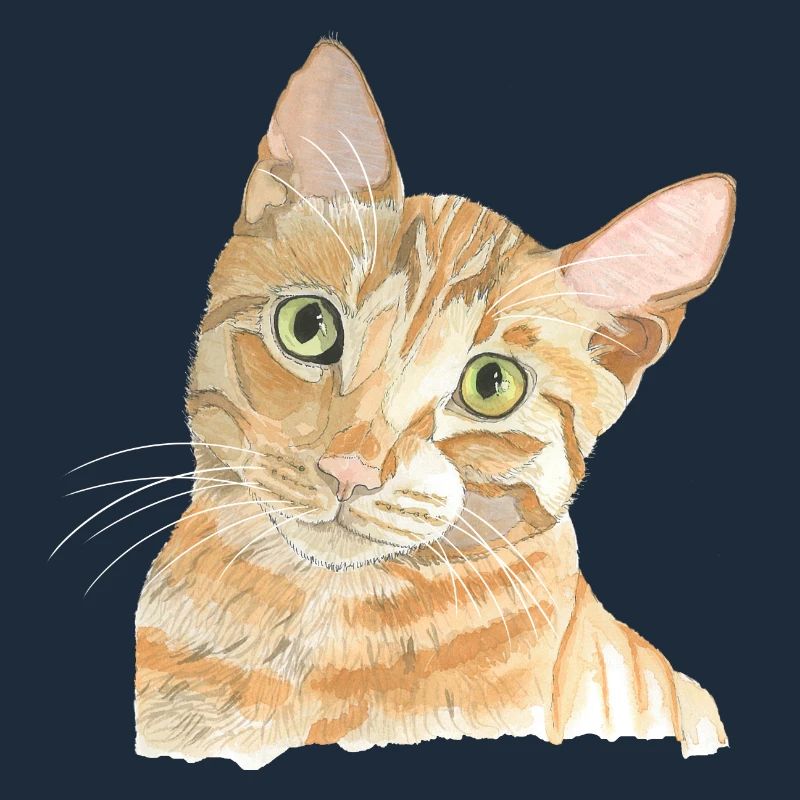Chat rouge