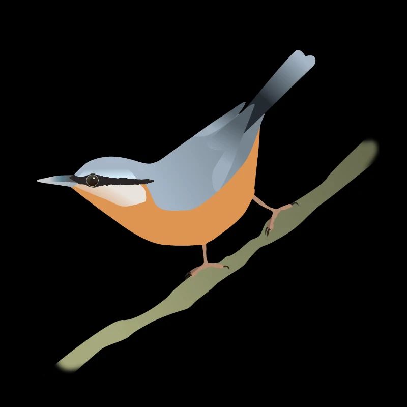 Kleiber
