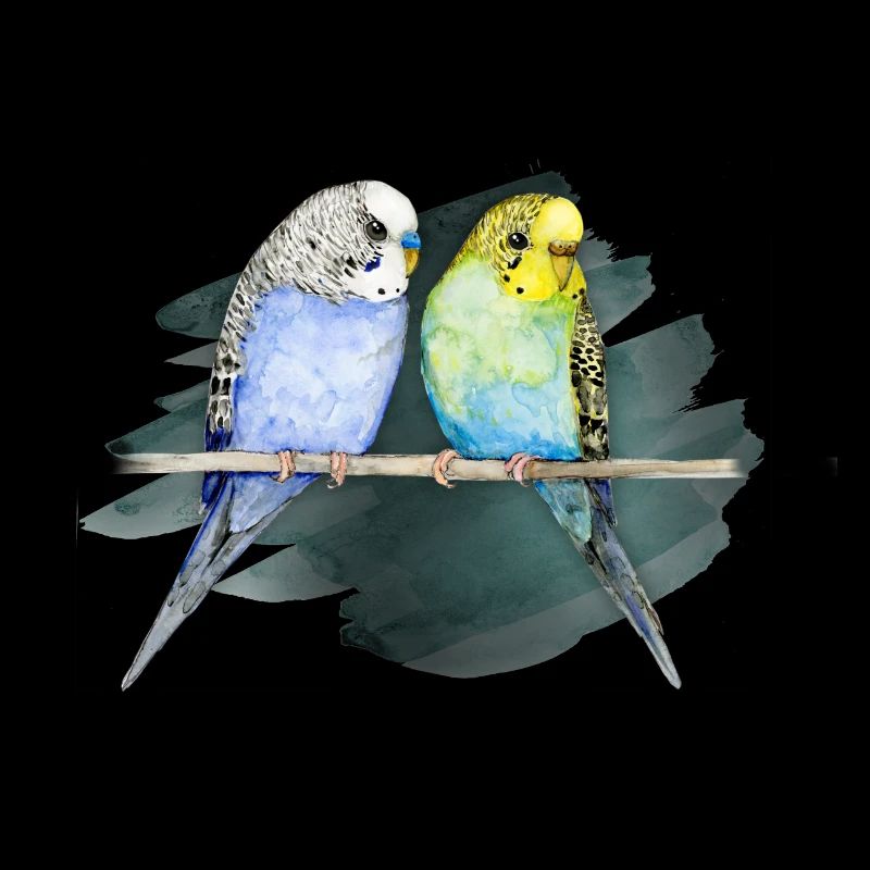 Two cute budgerigar watercolor
