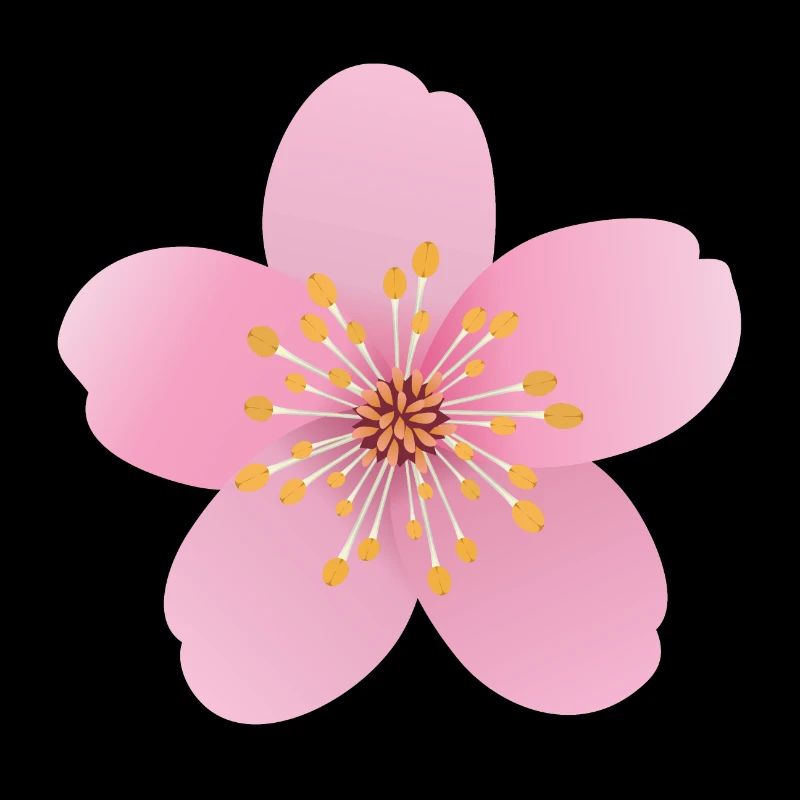 fleur de cerisier