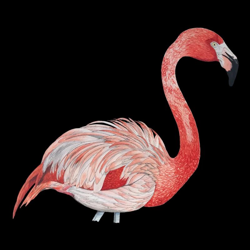 rosa Flamingo von der Seite