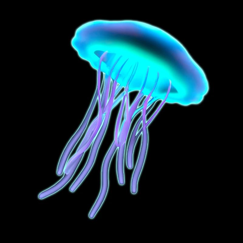 3D Jellyfish Jellyfish Sea Creatures Gift