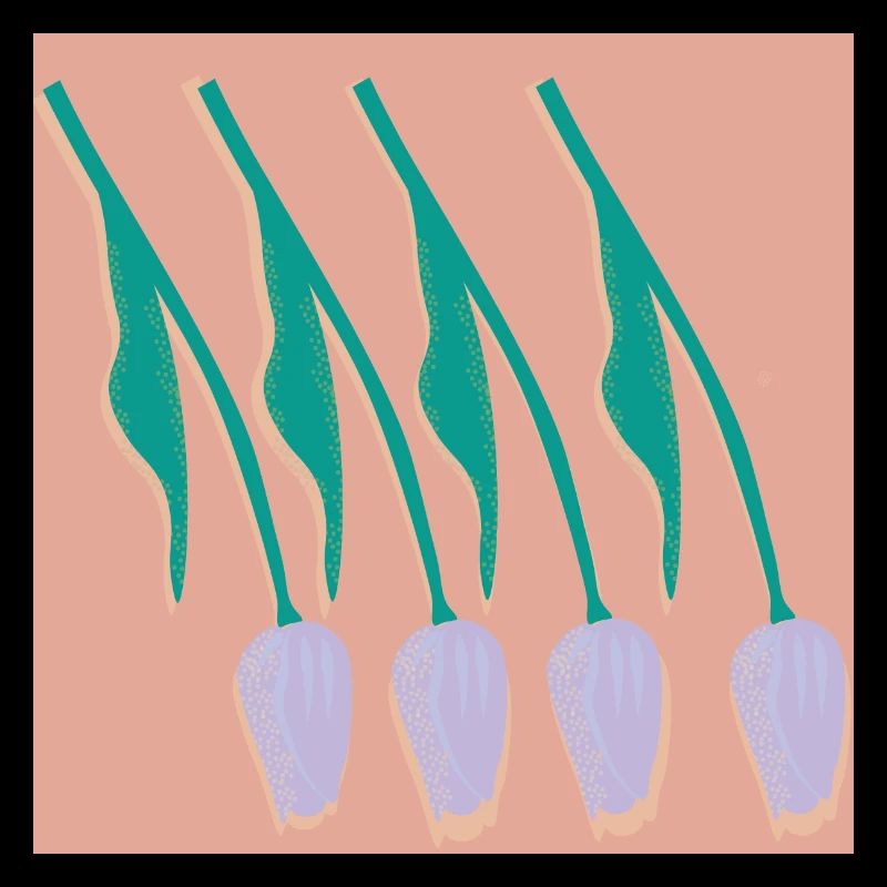 Tulipes