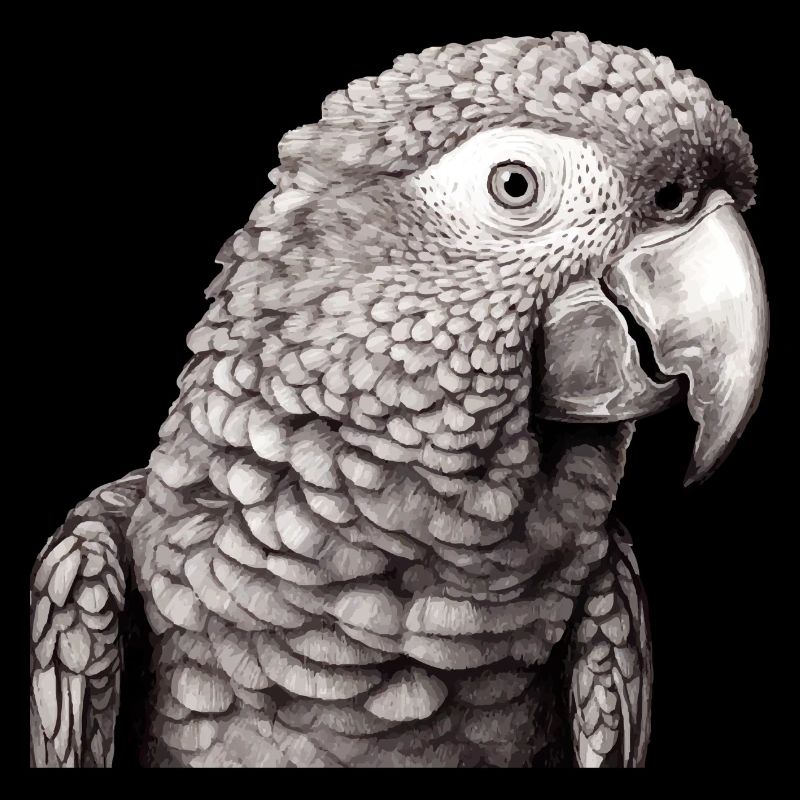 Papagei mit Bleistift Nr. 2