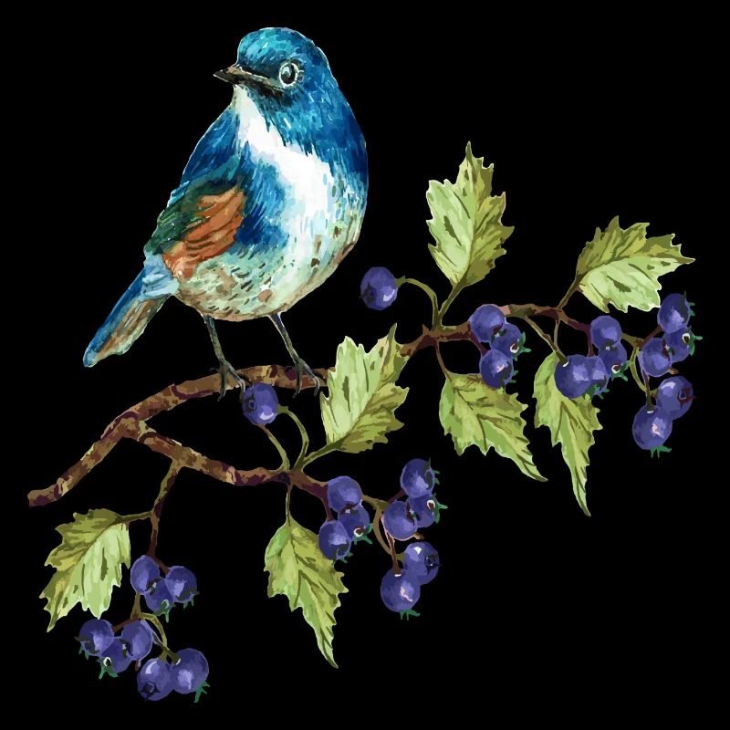 Bunter Vogel