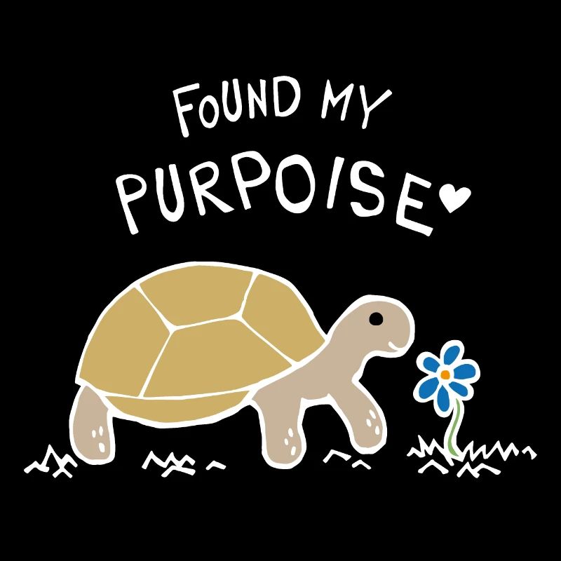 Trouvé ma tortue de poursouin (blanc)