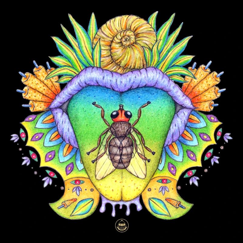 FlyTime, noeud papillon, bouche avec langue